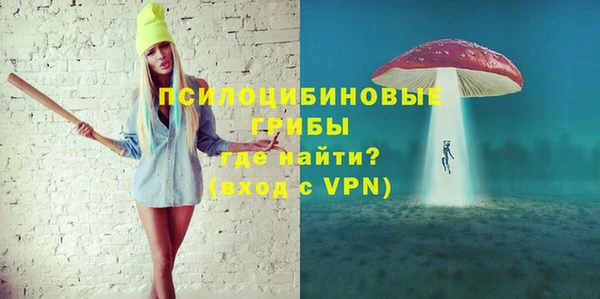 мяу мяу кристалл Гусь-Хрустальный