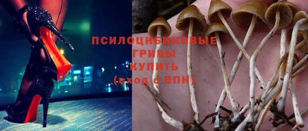 мяу мяу кристалл Гусь-Хрустальный