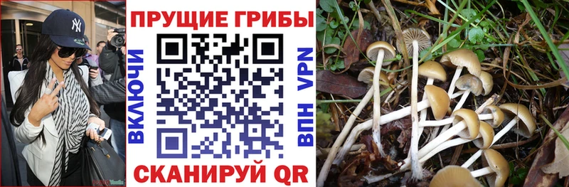 Галлюциногенные грибы Magic Shrooms  дарнет шоп  Отрадный 