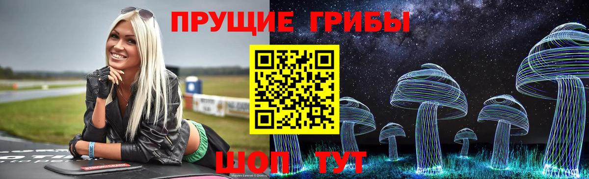 Галлюциногенные грибы MAGIC MUSHROOMS Отрадный