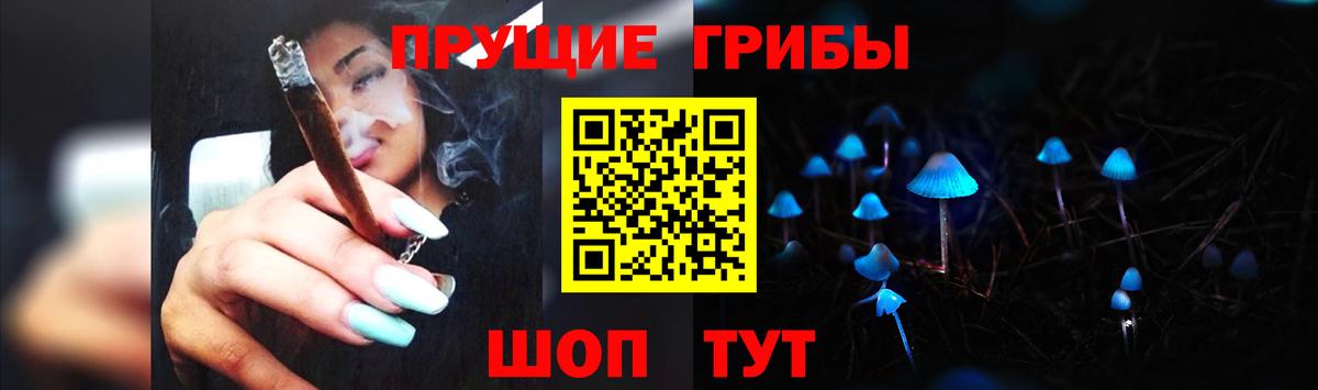 Галлюциногенные грибы прущие грибы  Вход с VPN  Отрадный 